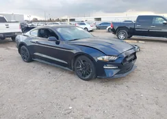 1FA6P8TH7M5141961: 44018887