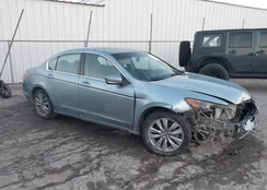 1HGCP2F81BA156256: 44018568