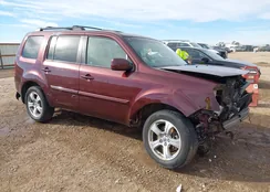 5FNYF4H52CB016568: 44019846