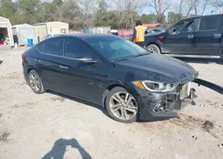 5NPD84LF8HH032419: 44019943