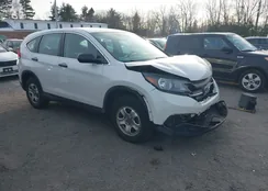 5J6RM4H3XEL020631: 44019388