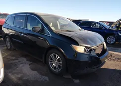 5FNRL5H65BB010466: 44020770