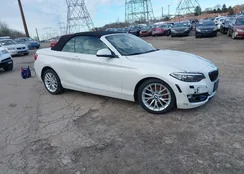 WBA1K9C55GV322265: 44020789