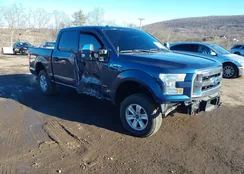 1FTEW1EG2HFC04887: 44021105