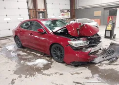 19UUB1F58JA007666: 44021175