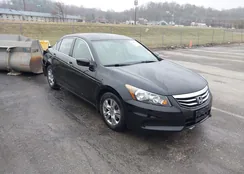 1HGCP2F65BA101789: 44020290