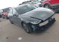 KMHL64JA3PA250133: 44022649