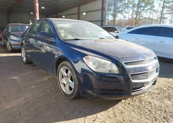 1G1ZA5E11BF356307: 44023219