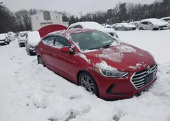 5NPD84LF2HH178251: 44023738