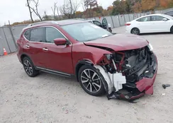 5N1AT2MV2KC756553: 44024846