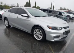 1G1ZE5ST3HF197891: 44024906