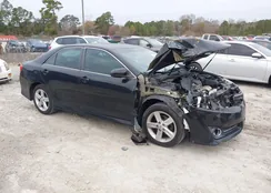 4T1BF1FK5DU682597: 44024946