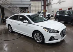 5NPE34AF0JH656940: 44024402