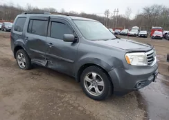 5FNYF4H45DB051985: 44024573