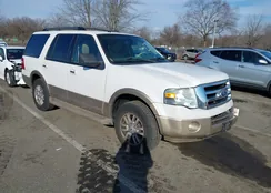 1FMJU1J55BEF00858: 44025323