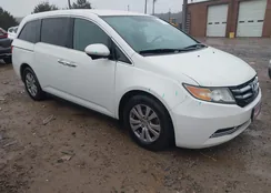 5FNRL5H40FB033304: 44026514