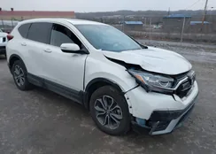 5J6RW2H53ML025264: 44028007