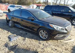 5NPE24AF9GH373013: 44028036