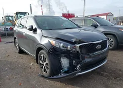 5XYPHDA53GG132330: 44031032