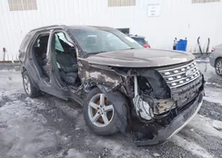 1FM5K8D83GGA41945: 44030379