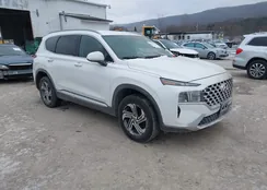 5NMS2DAJ8MH360687: 44031920