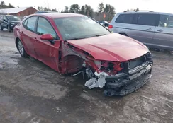 4T1DBADK1TU037533: 44032908