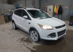 1FMCU9GX1FUB82829: 44034059