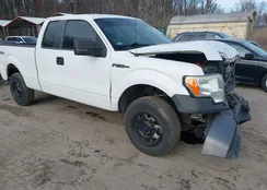 1FTEX1EMXEKG11216: 44033295