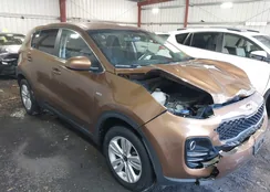 KNDPMCAC0J7304855: 44035281