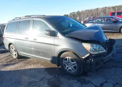 5FNRL38786B449938: 44037915