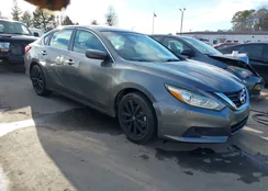 1N4AL3AP7HC263160: 44038224