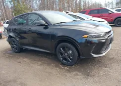 ZACPDFCW4R3A17727: 44037447