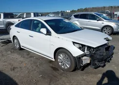 KMHE24L31HA065163: 44037535