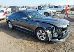 1FA6P8TH0F5344239: 44040113