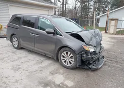 5FNRL5H63FB010195: 44040675