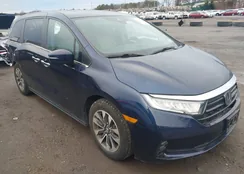 5FNRL6H75MB041136: 44040892