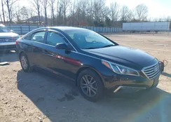 5NPE24AFXFH171277: 44041294