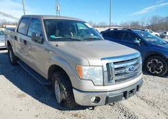 1FTEW1E88AFB29238: 44042839