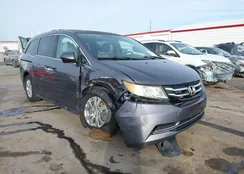 5FNRL5H6XFB061628: 44042949