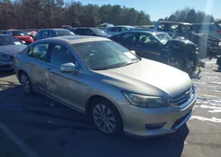 1HGCR2F88DA146675: 44042386