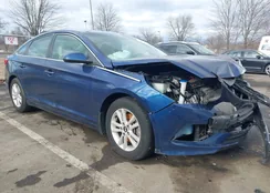 5NPE24AFXFH212166: 44043652