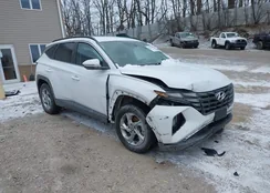 5NMJBCAE2NH058144: 44043703