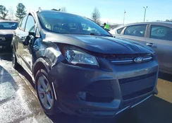 1FMCU9GX2FUB15611: 44044028