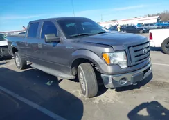 1FTFW1E83AFD16505: 44044923