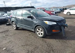 1FMCU0F71GUB29188: 44045053