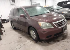 5FNRL38428B013353: 44045164