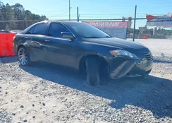 4T1BE46K89U302096: 44044336