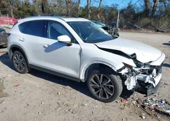 JM3KFBEM8P0253857: 44045698