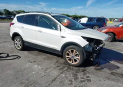 1FMCU0HD0KUB47564: 44045257