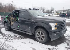 1FTFW1EG5HKE43619: 44047135